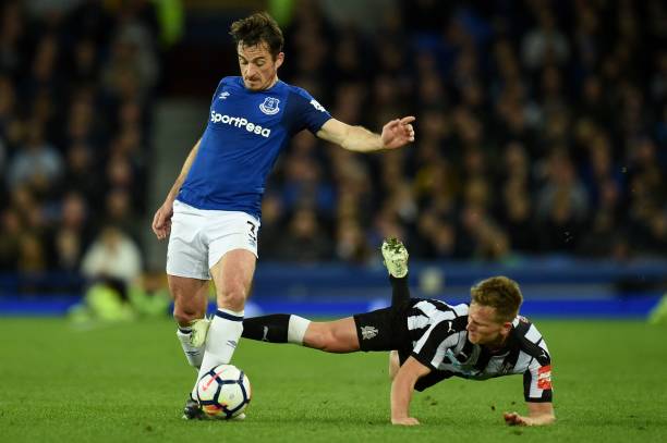 杯中脱颖而 杯中脱颖而